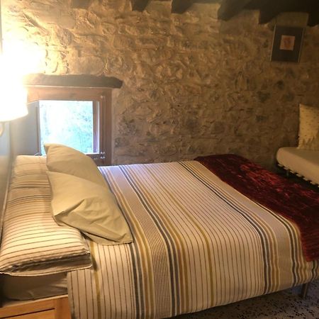 Mas Molladar Solo Adultos Guest House Camprodon Exterior photo